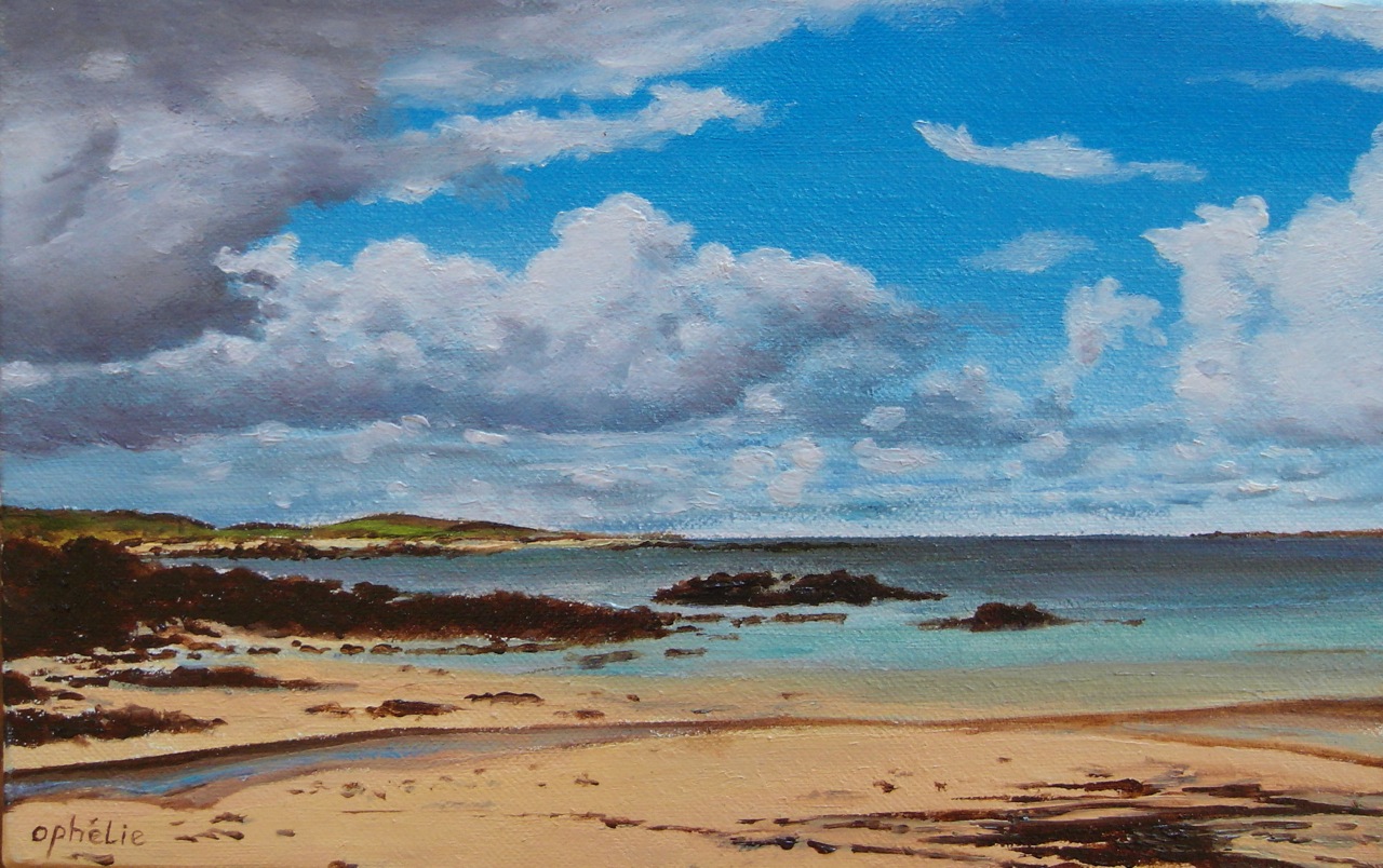 Coral Beach, Ballyconneely by Renee Plantereux