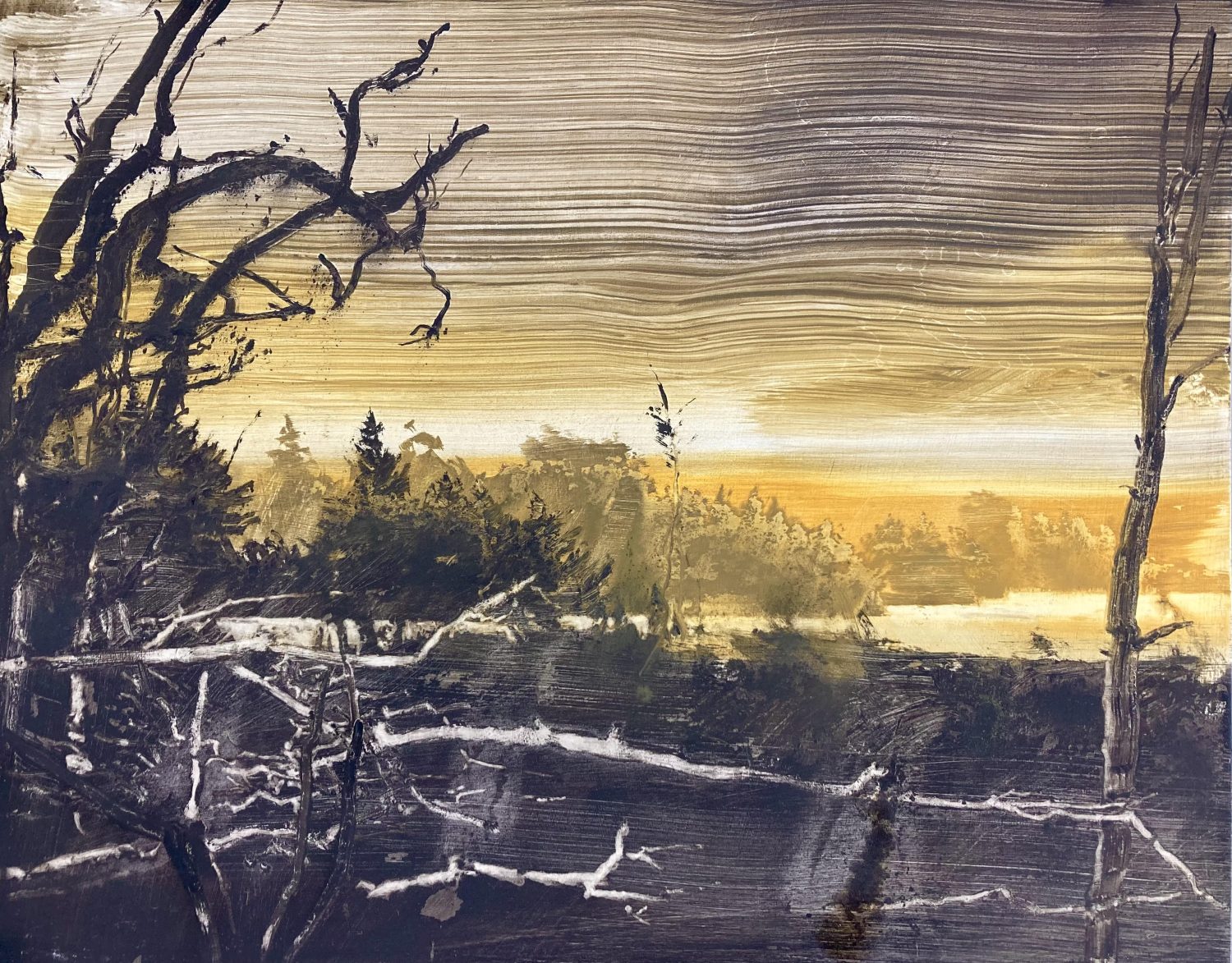 Lake edge - summer solstice by David Smith