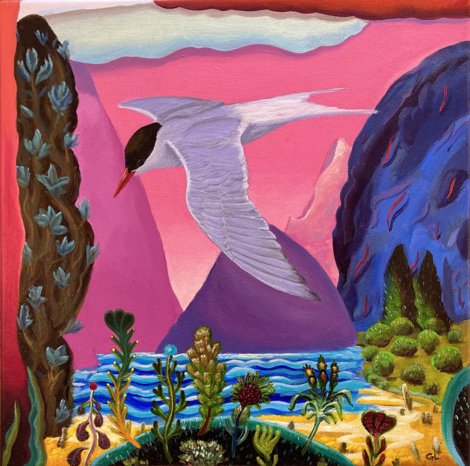 Arctic Tern by Gavin Lavelle