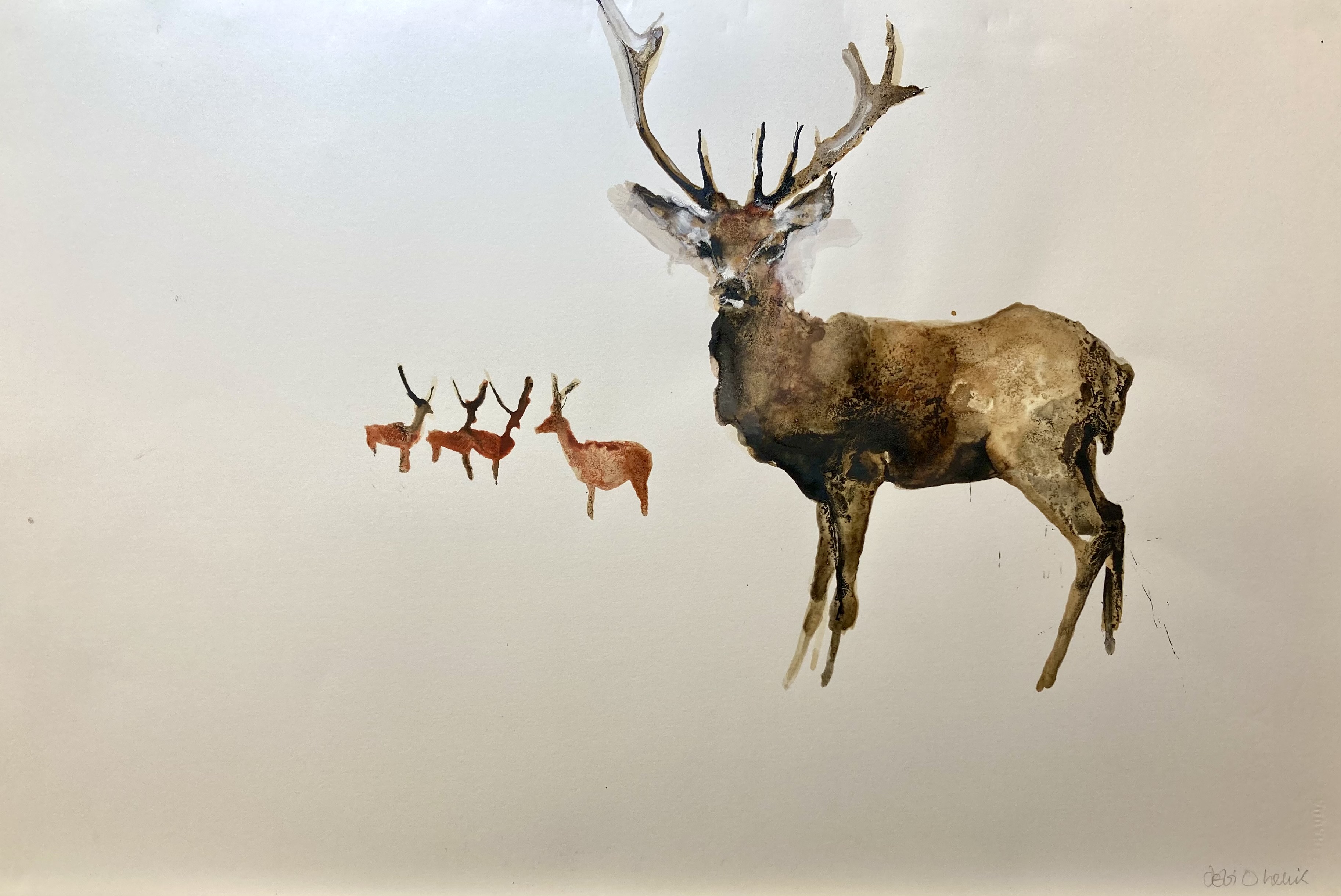 Deer 1 by Debi O'Hehir