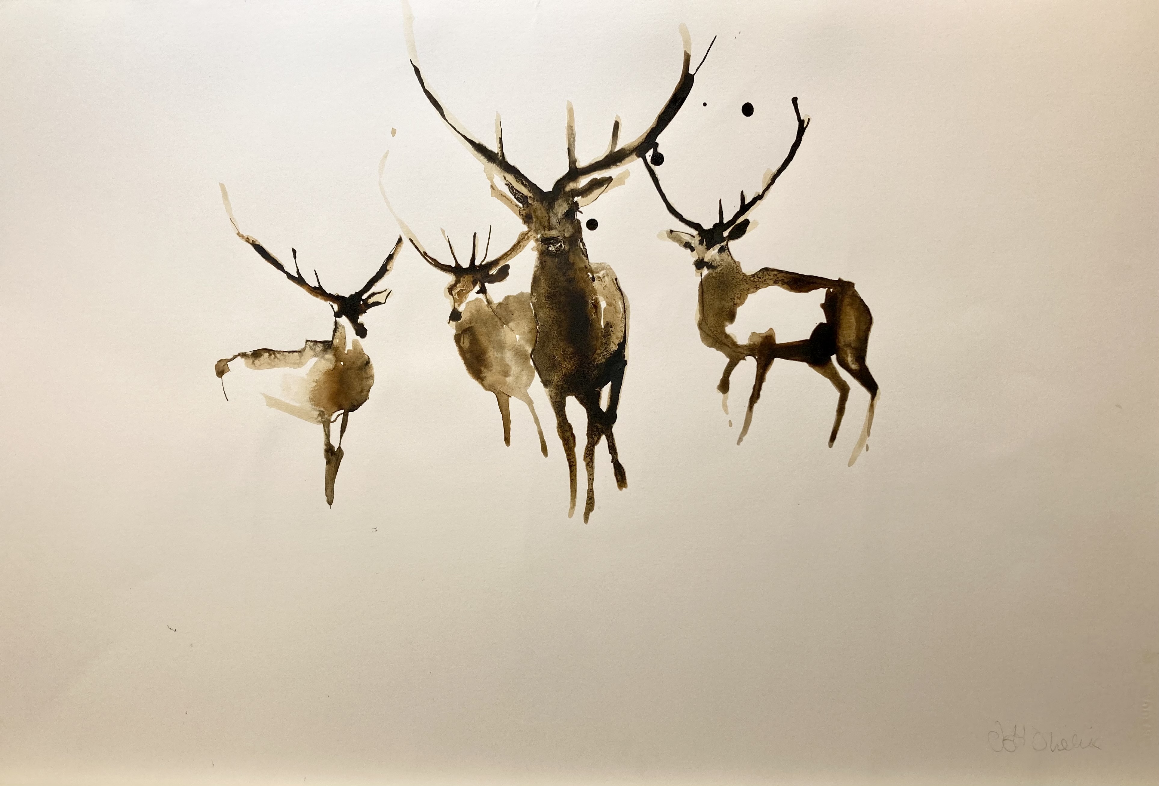 Deer II by Debi O'Hehir