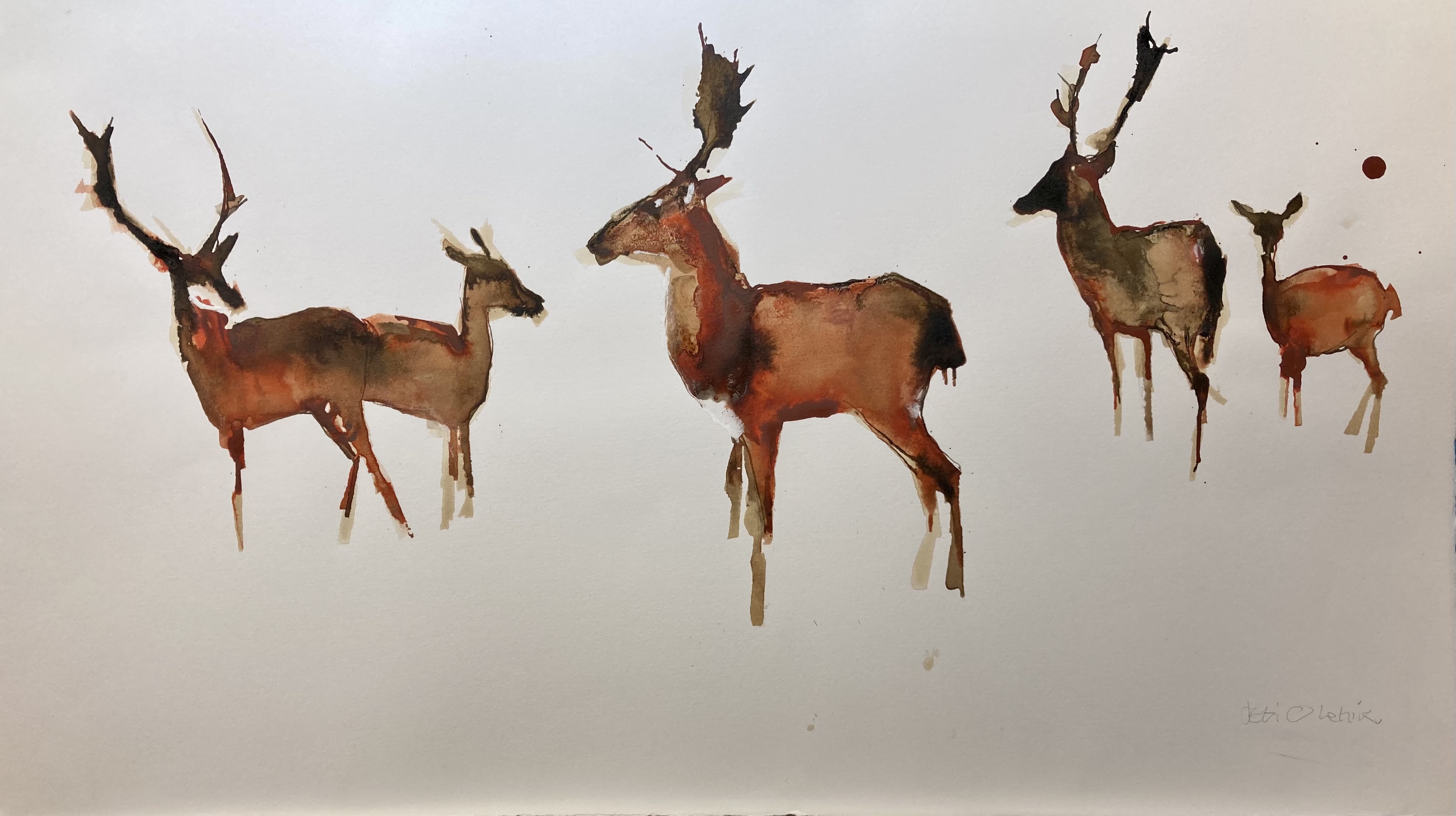 Deer III by Debi O'Hehir