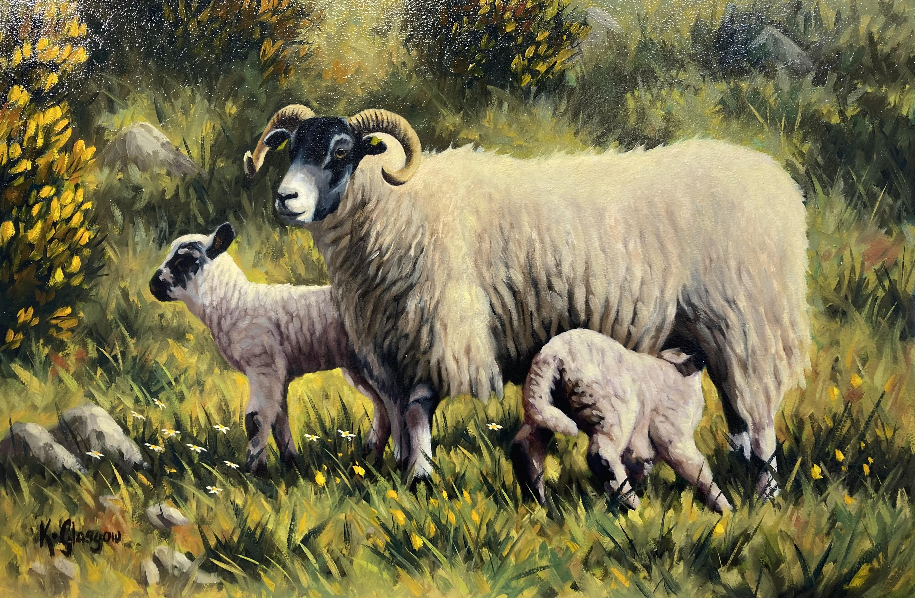 New Lambs by Keith Glasgow