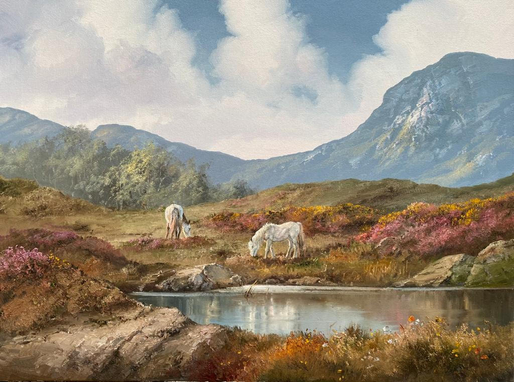 Errislannan, near Clifden by Eileen Meagher