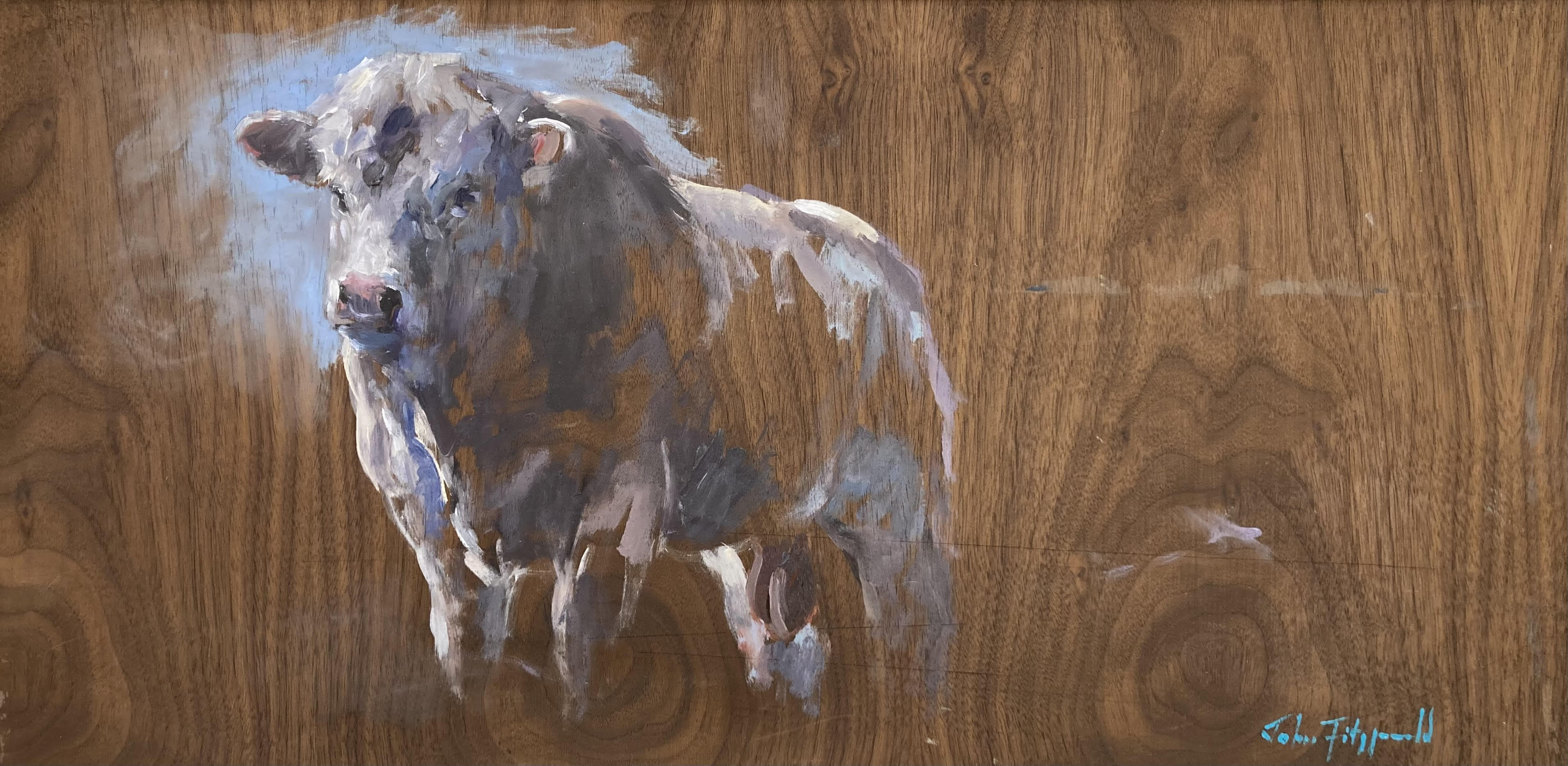 Charolais Bull on Wood by John Fitzgerald