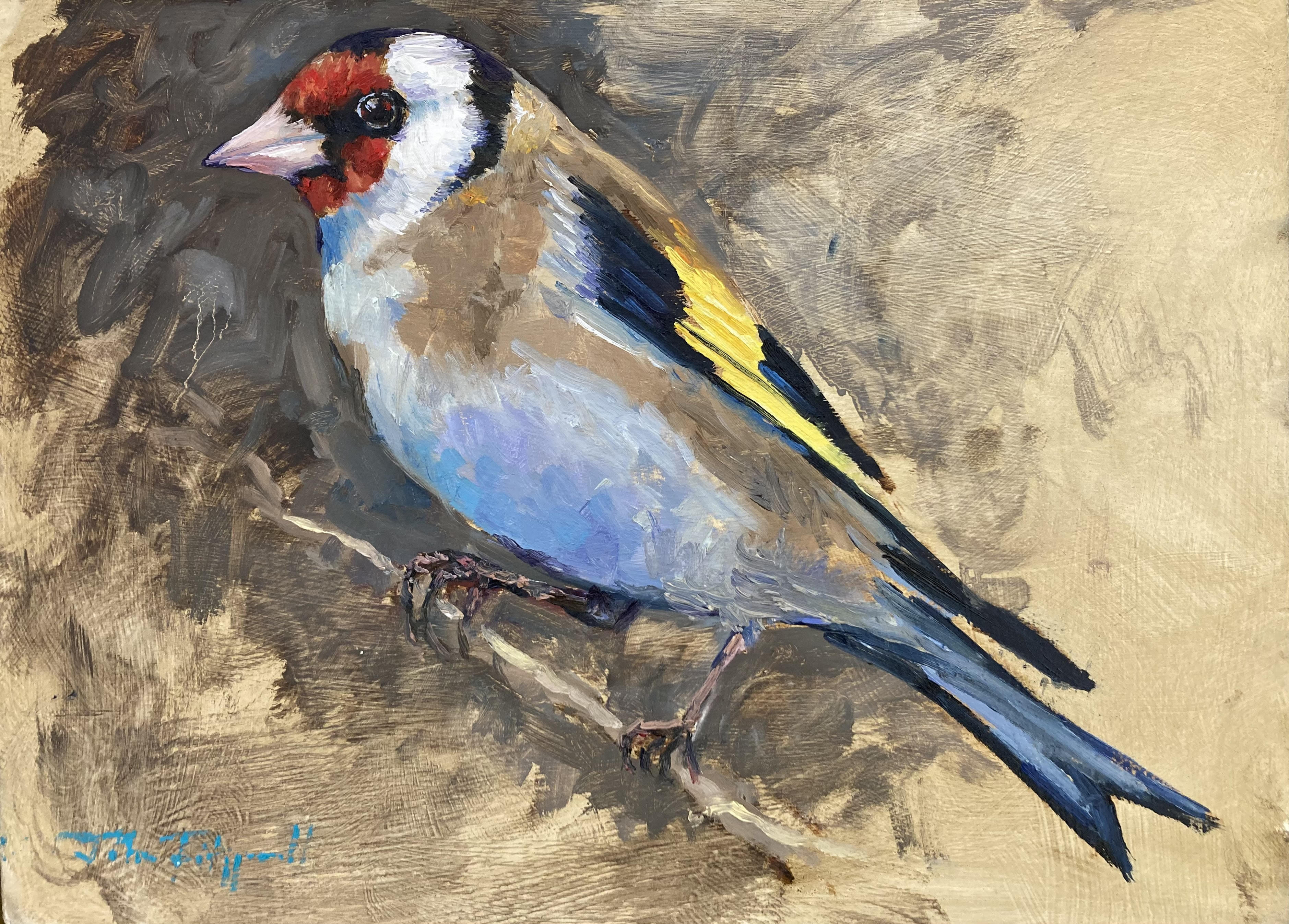 Goldfinch by John Fitzgerald