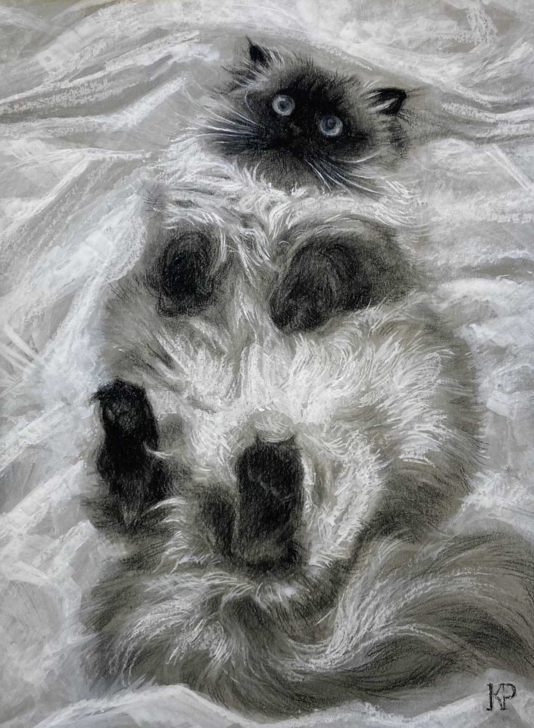 Fluffy Cat by Kateryna Penchkovska