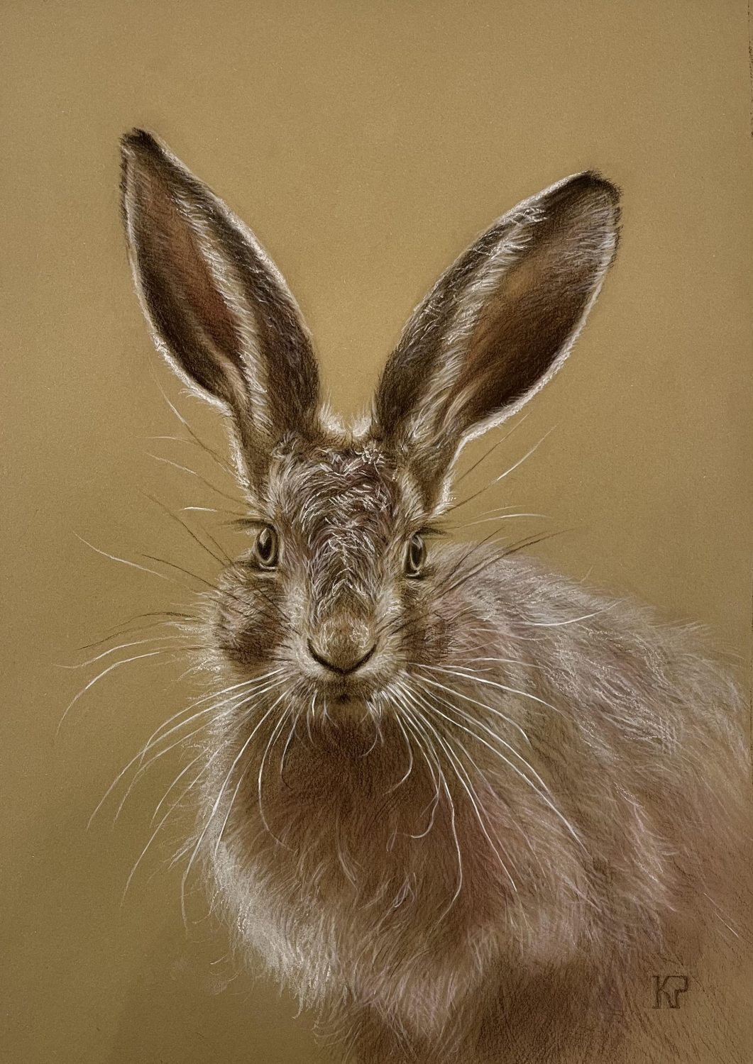 Fixated Hare by Kateryna Penchkovska