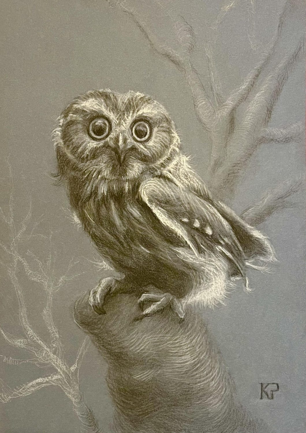 Flammulated Owl by Kateryna Penchkovska