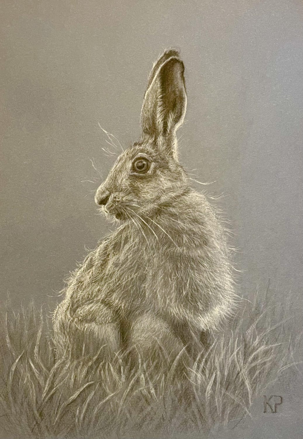 Startled Hare by Kateryna Penchkovska