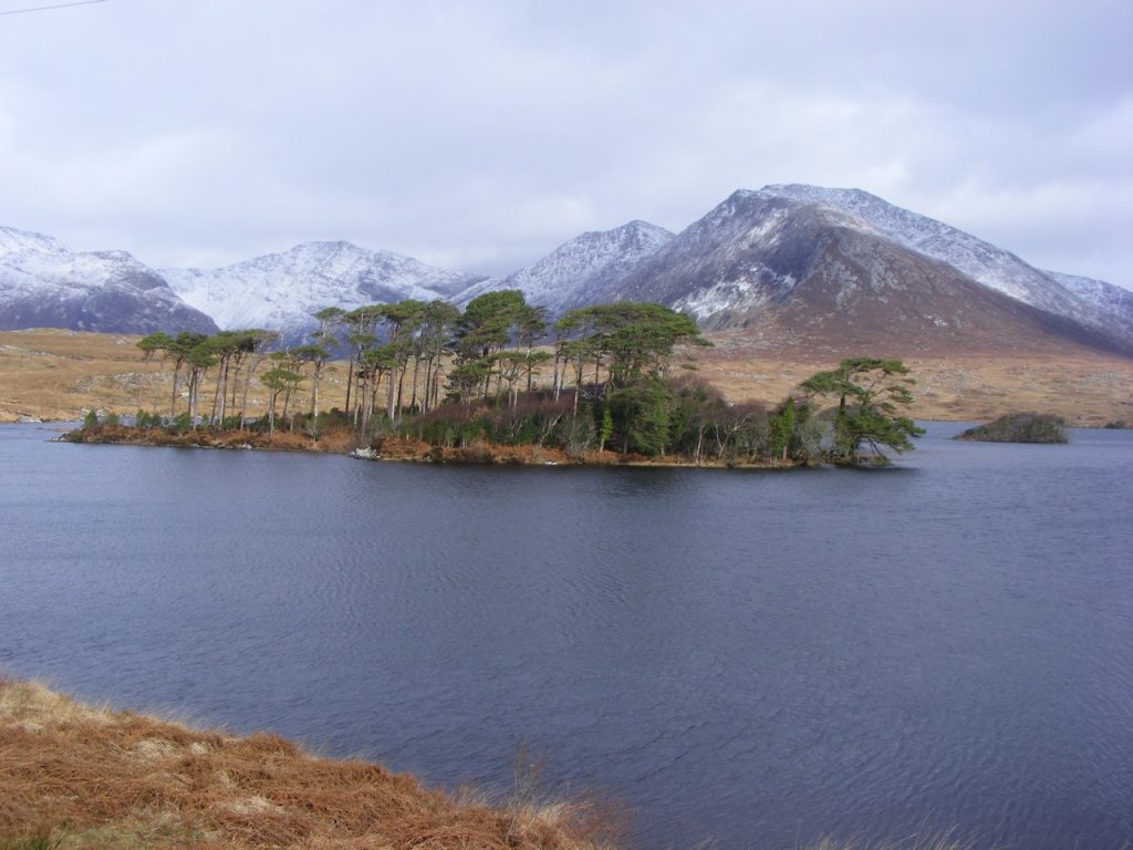 Icy blue water by the roadside