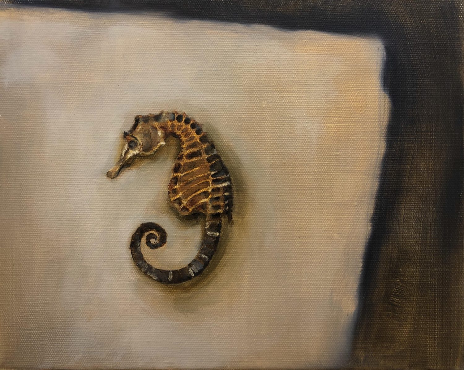 Seahorse by Beatrice O'Connell