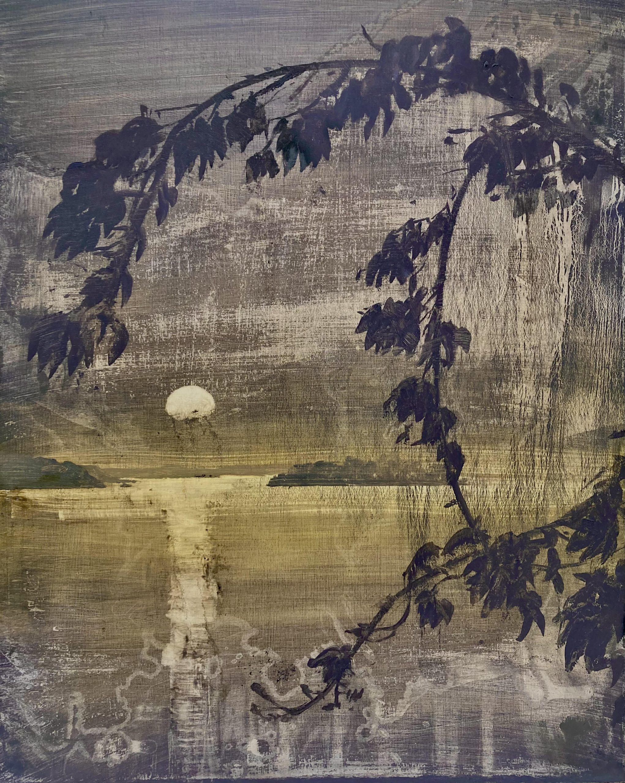 Lake islands - moonlight by David Smith