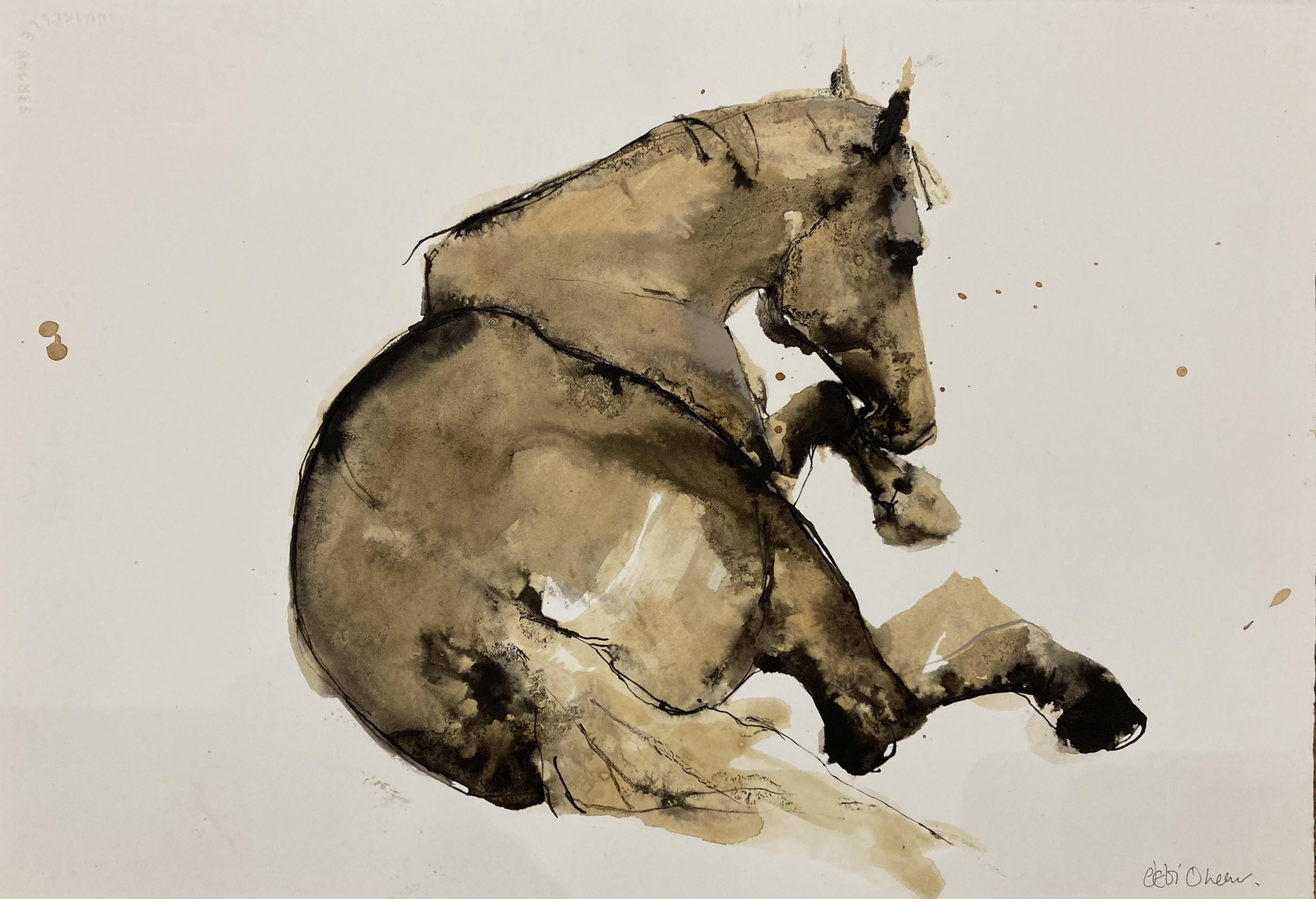 Resting by Debi O'Hehir