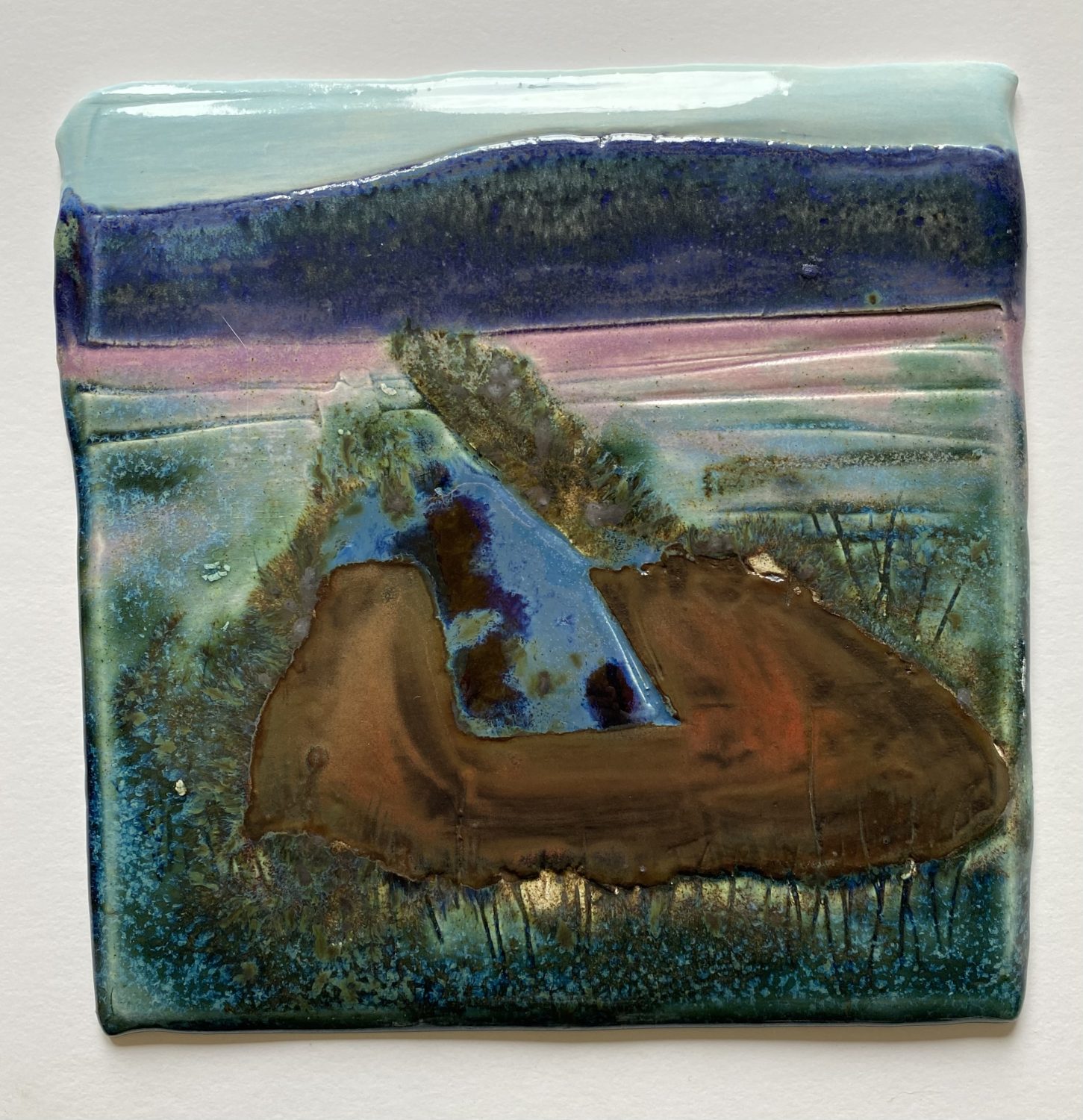 Bog Furrow by Deborah Watkins