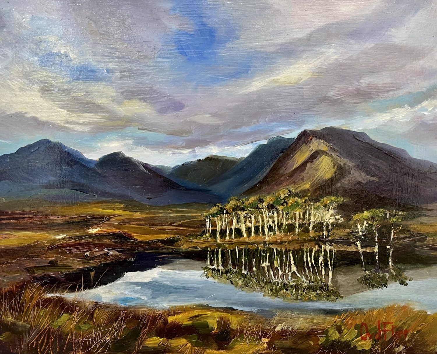 Derryclare by Olly van der Flier