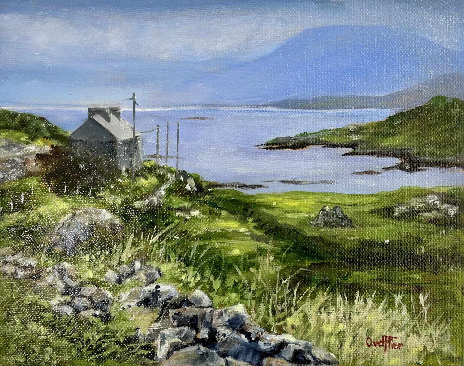Inishbofin by Olly van der Flier