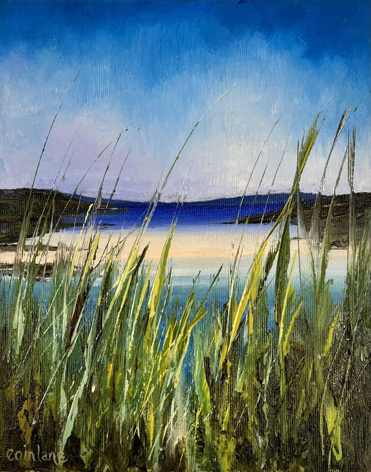 Meadow Grasses, Omey by Eoin Lane