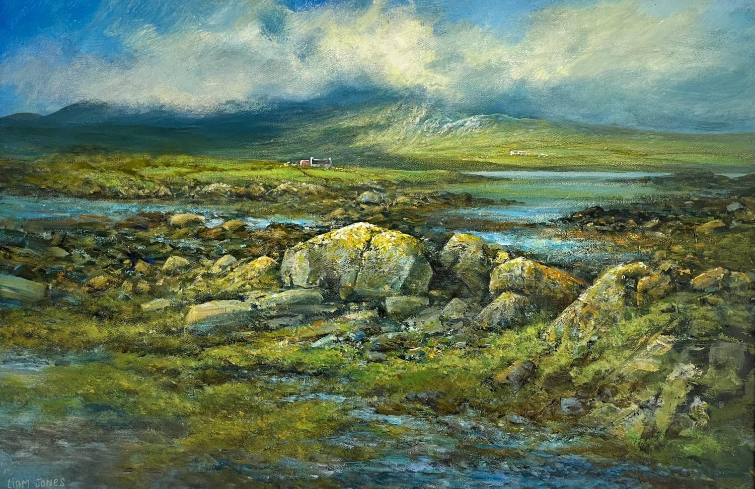 Low Tide, Inishnee by Liam Jones