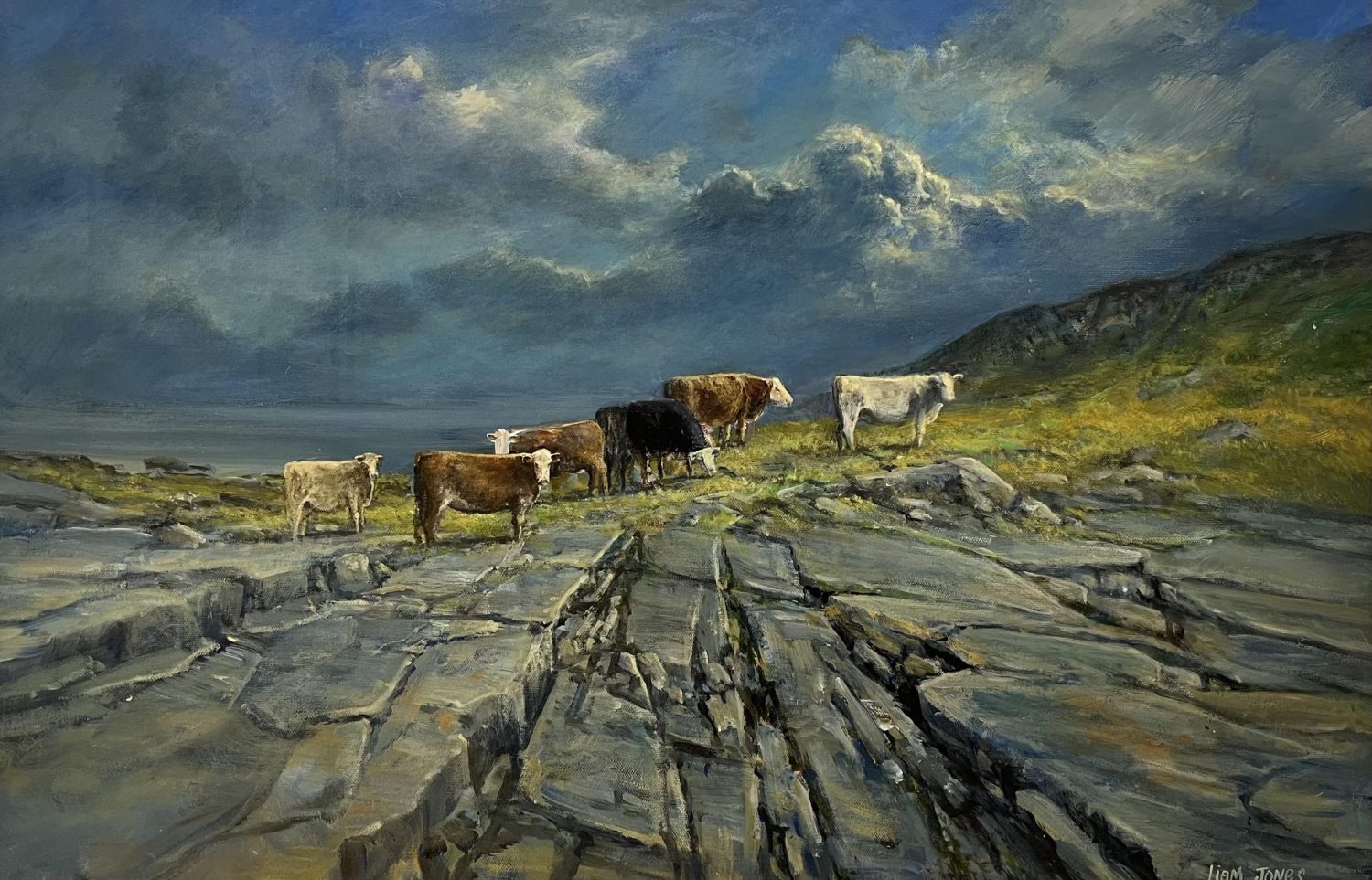 Winterage, the Burren by Liam Jones