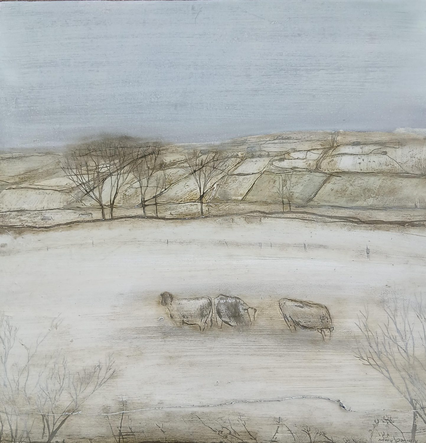 The Living Land by Mary Donnelly