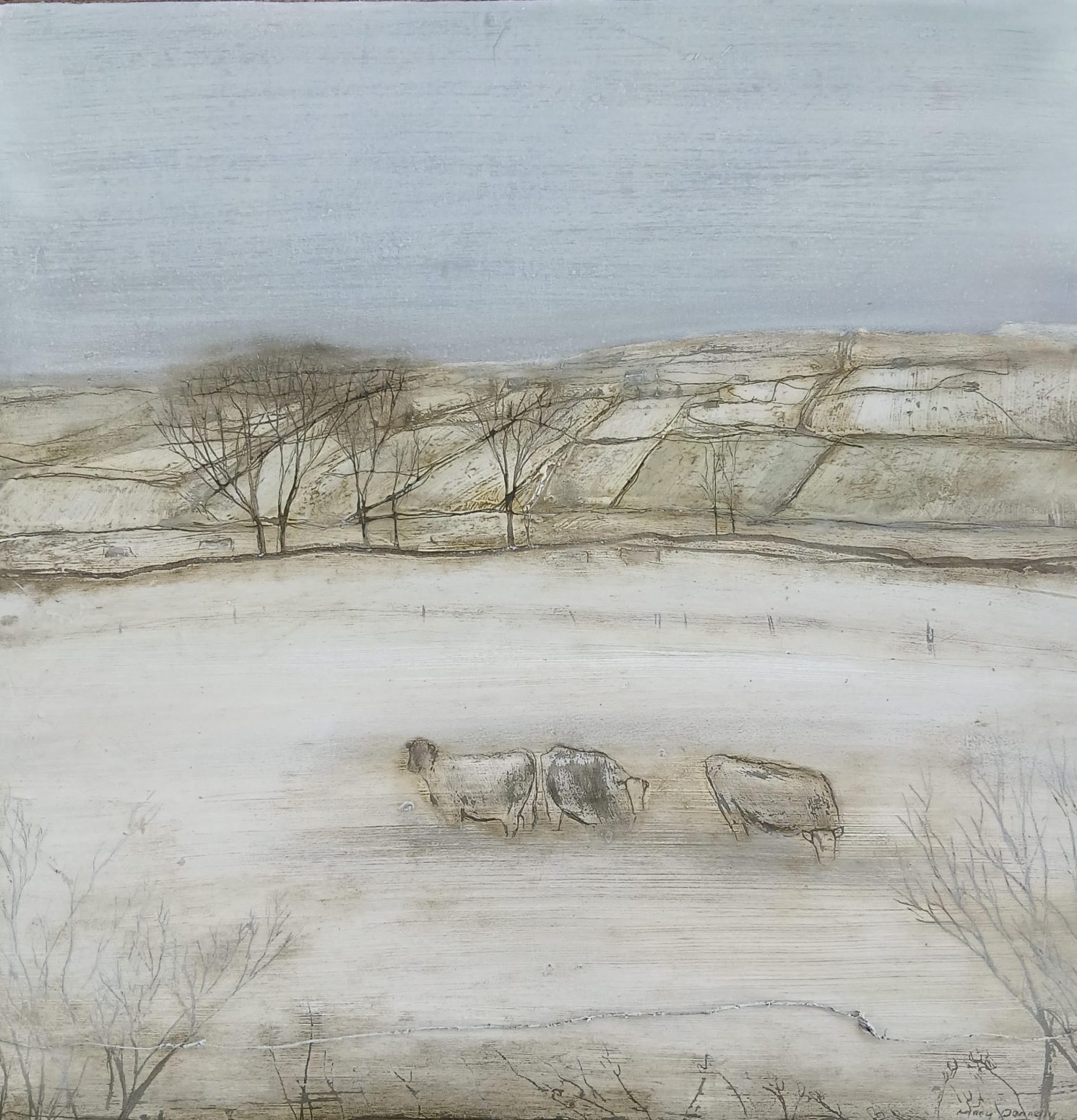 The Living Land by Mary Donnelly