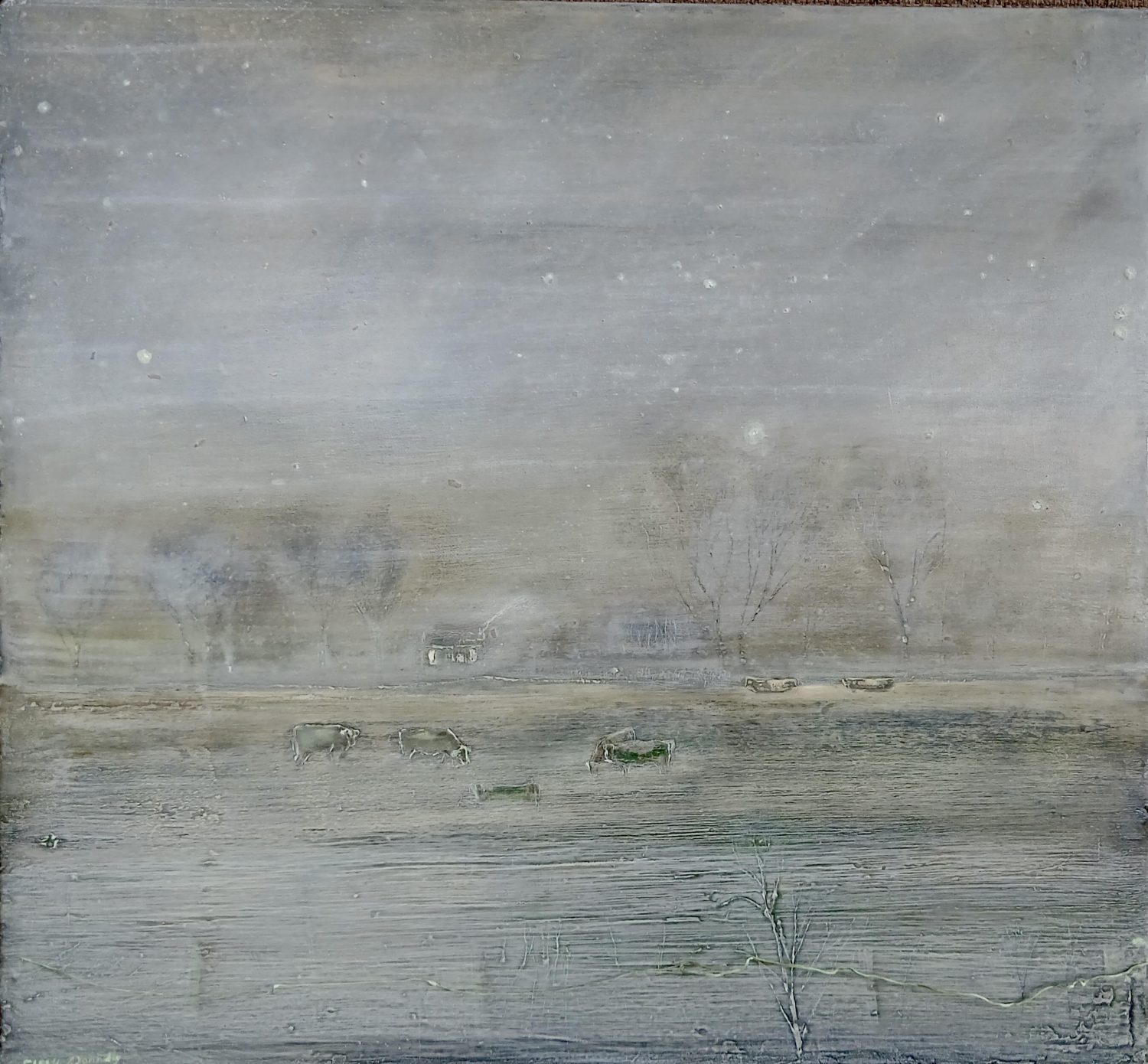 The Space Between the Stars by Mary Donnelly