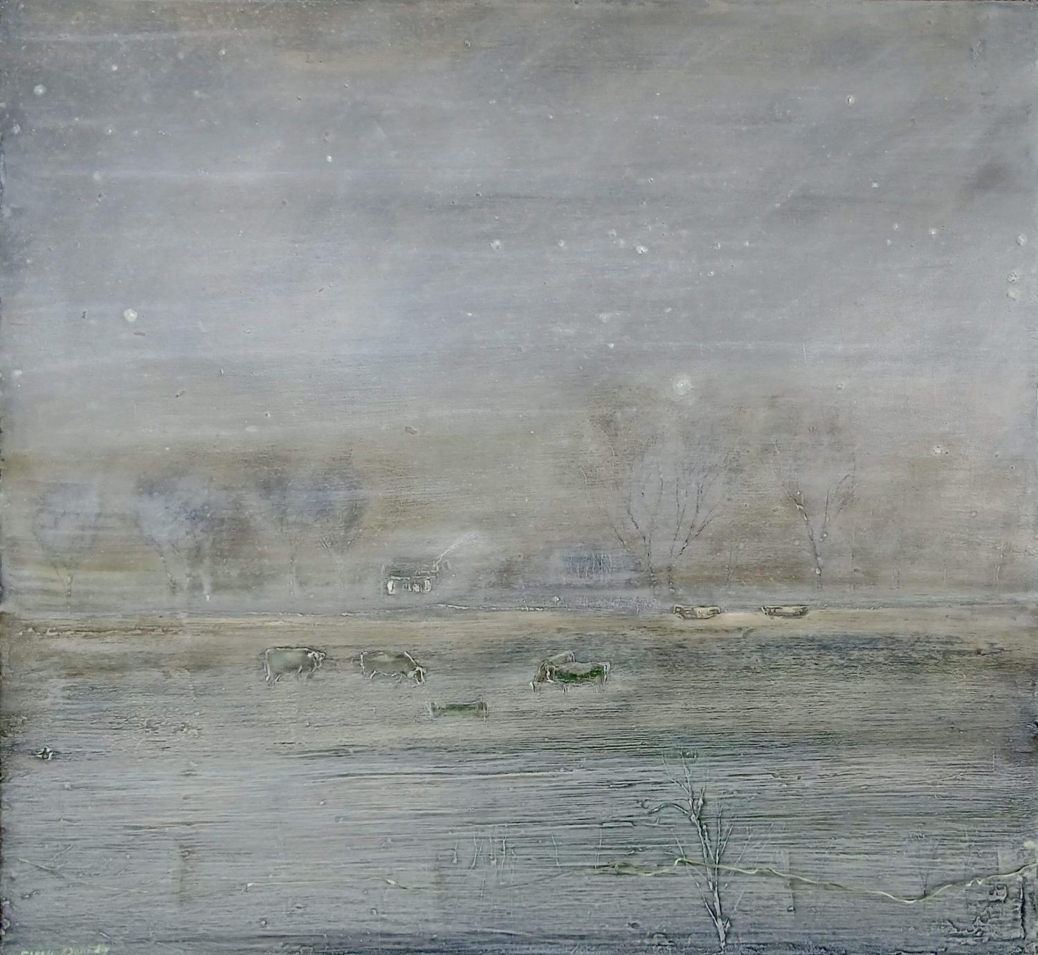 The Space Between the Stars by Mary Donnelly