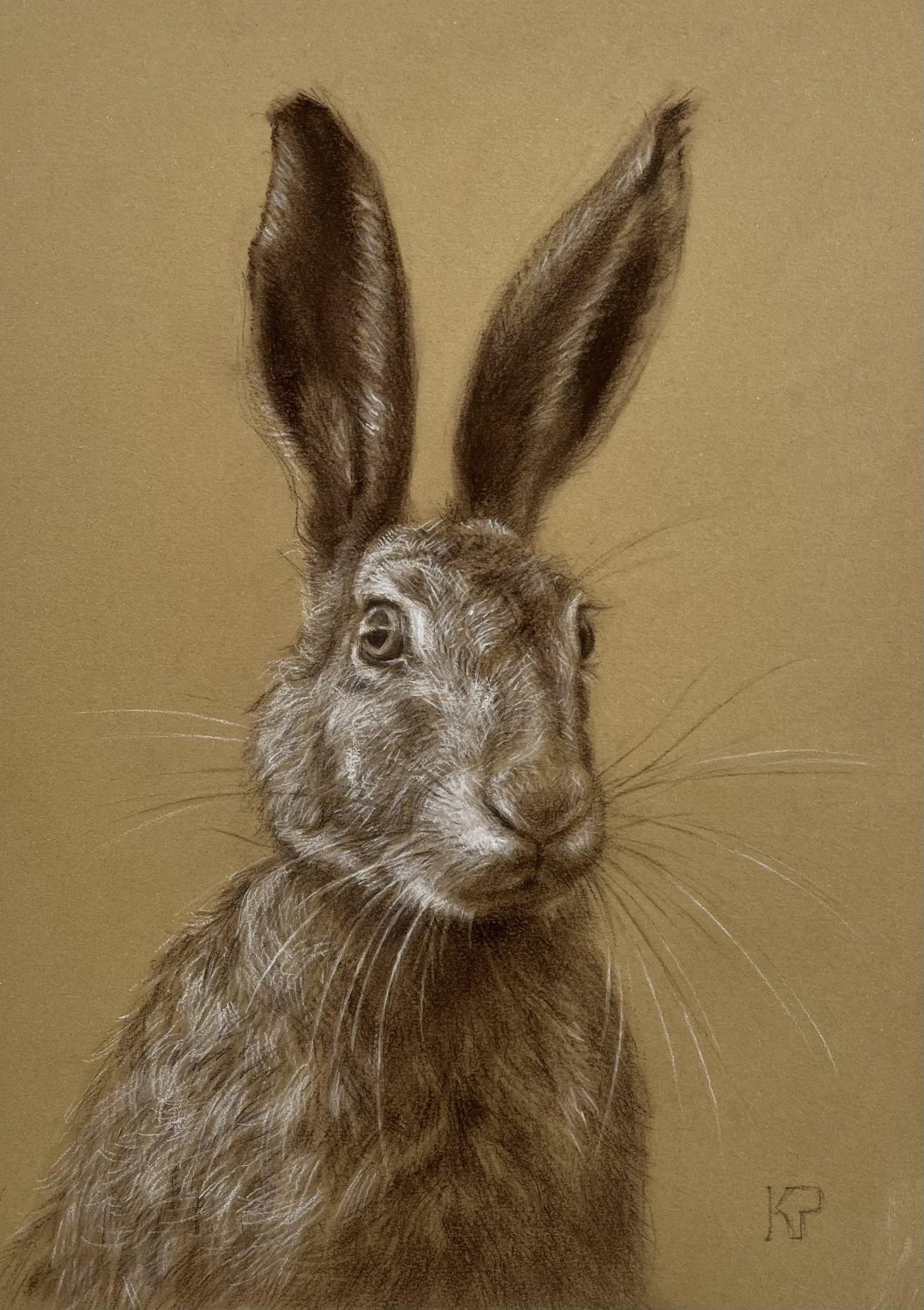 Hare on sepia paper by Kateryna Penchkovska