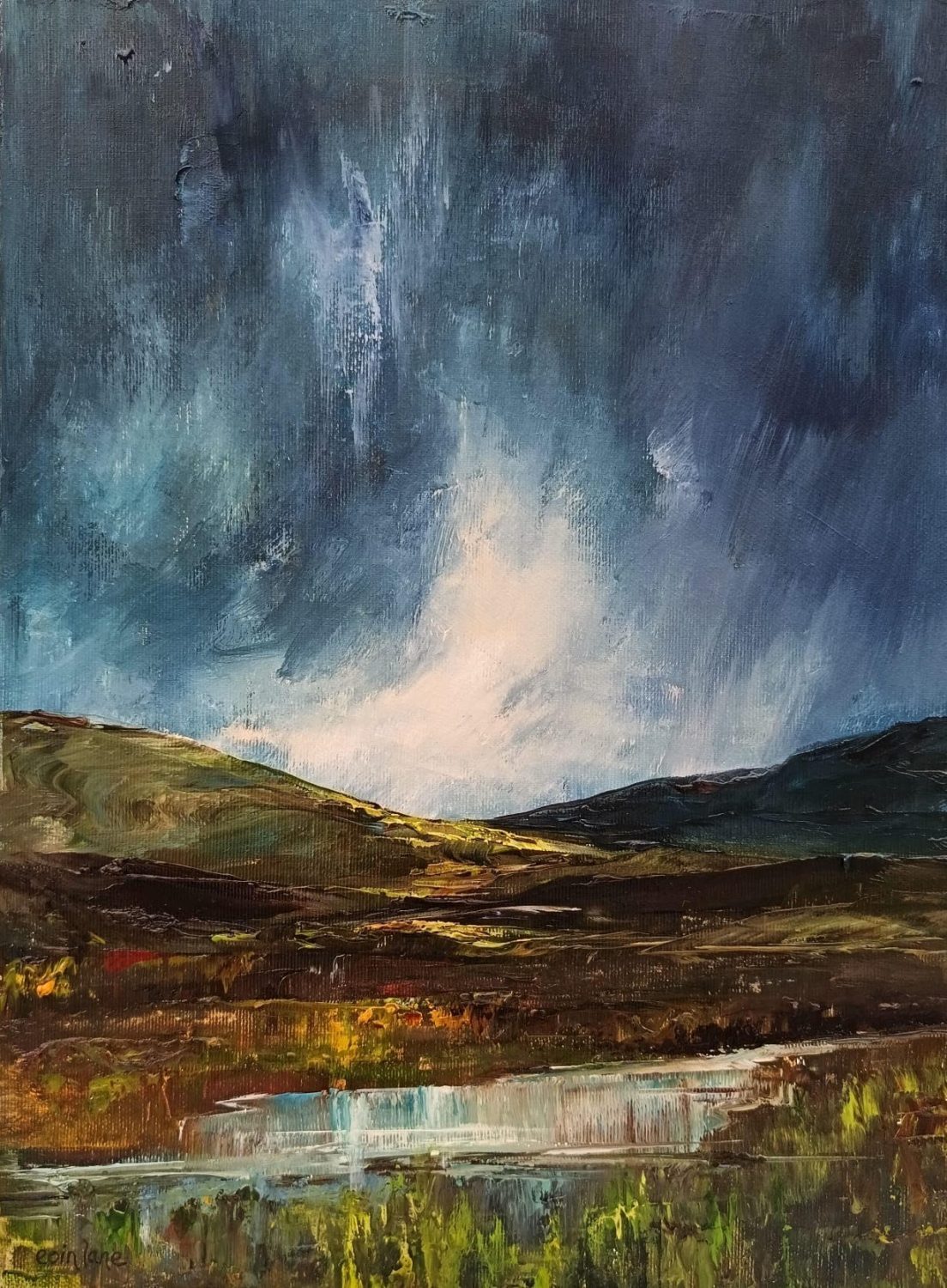Wuthering Night, Connemara Bogland by Eoin Lane