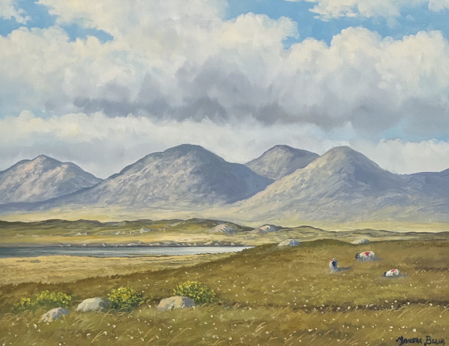 Pastoral Connemara painting of the 12 Bens with sheep in the foreground